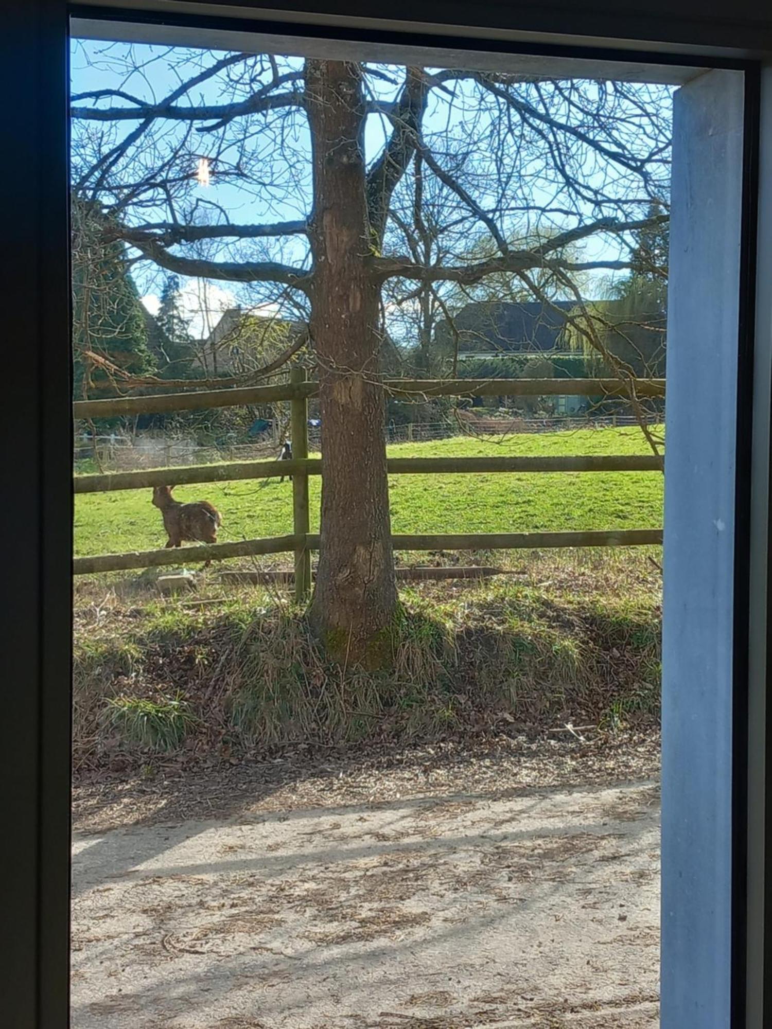 Appartement Les Hauts De Meez