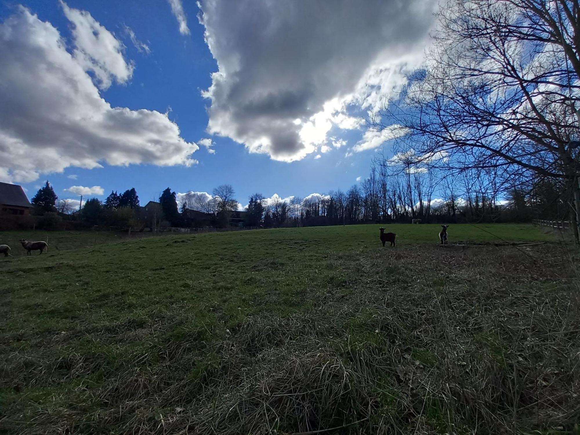 Appartement Les Hauts De Meez *