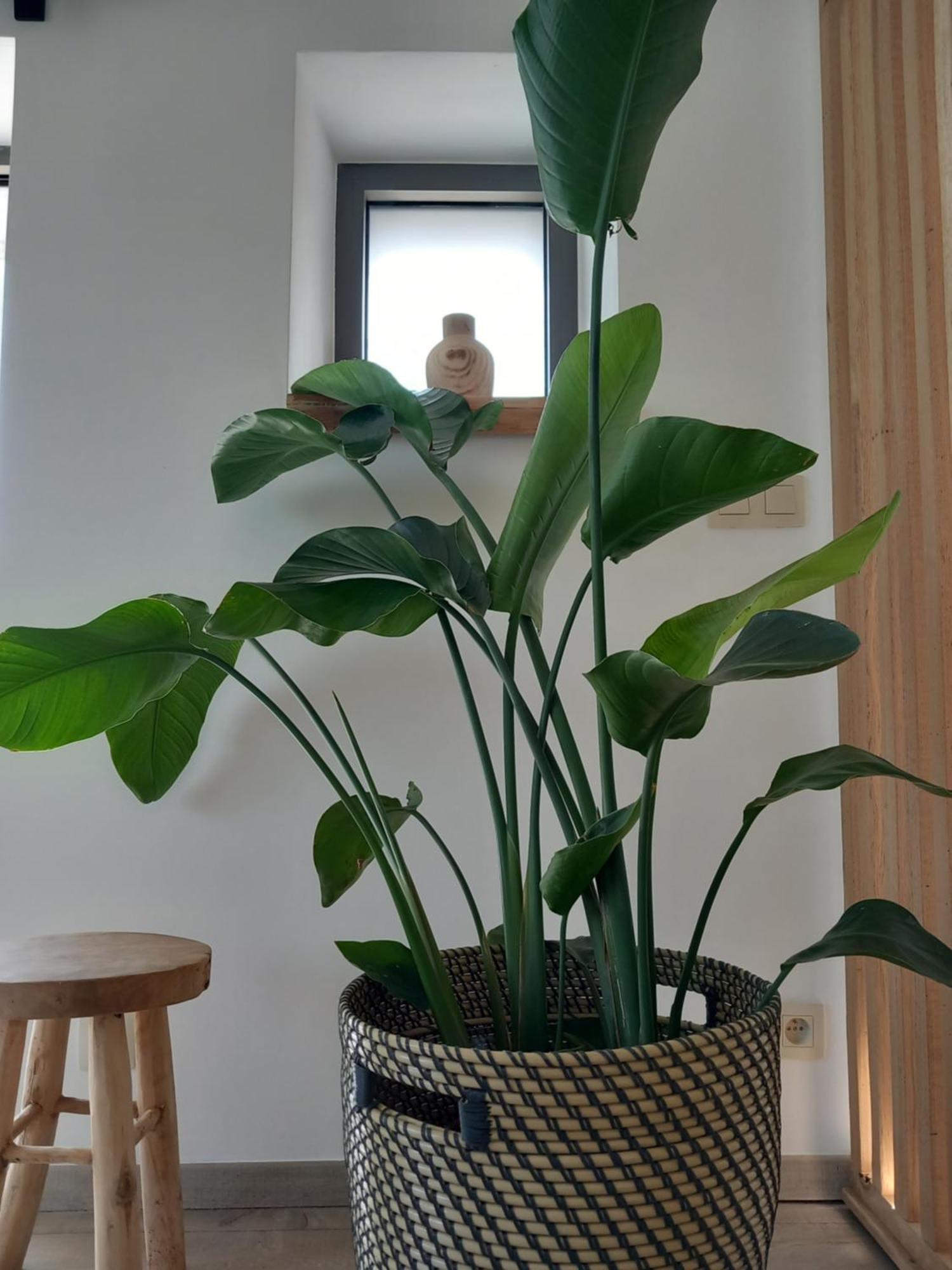 Appartement Les Hauts De Meez